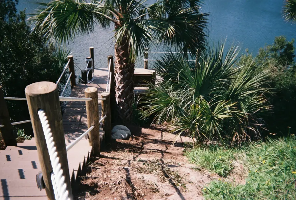 Aerial view of the wooden chairs and deck featuring plants and tree on the background