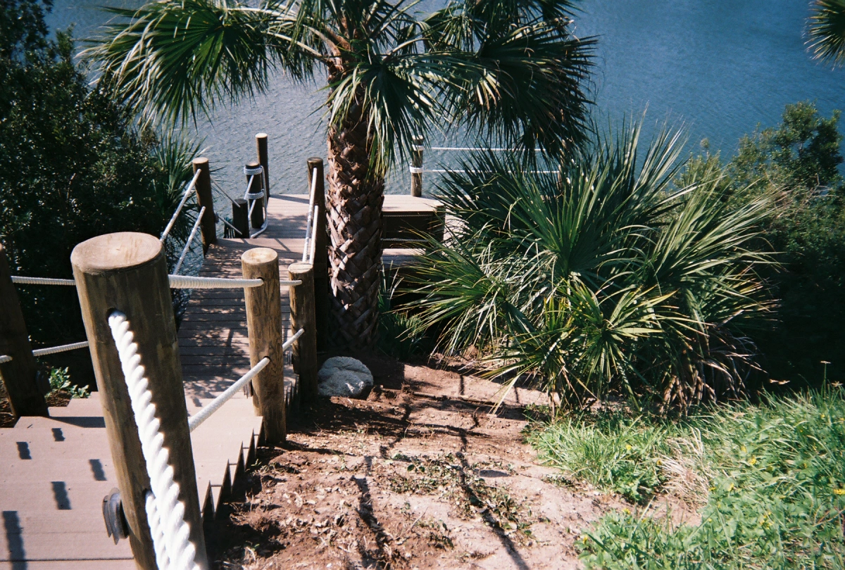 Aerial view of the wooden chairs and deck featuring plants and tree on the background