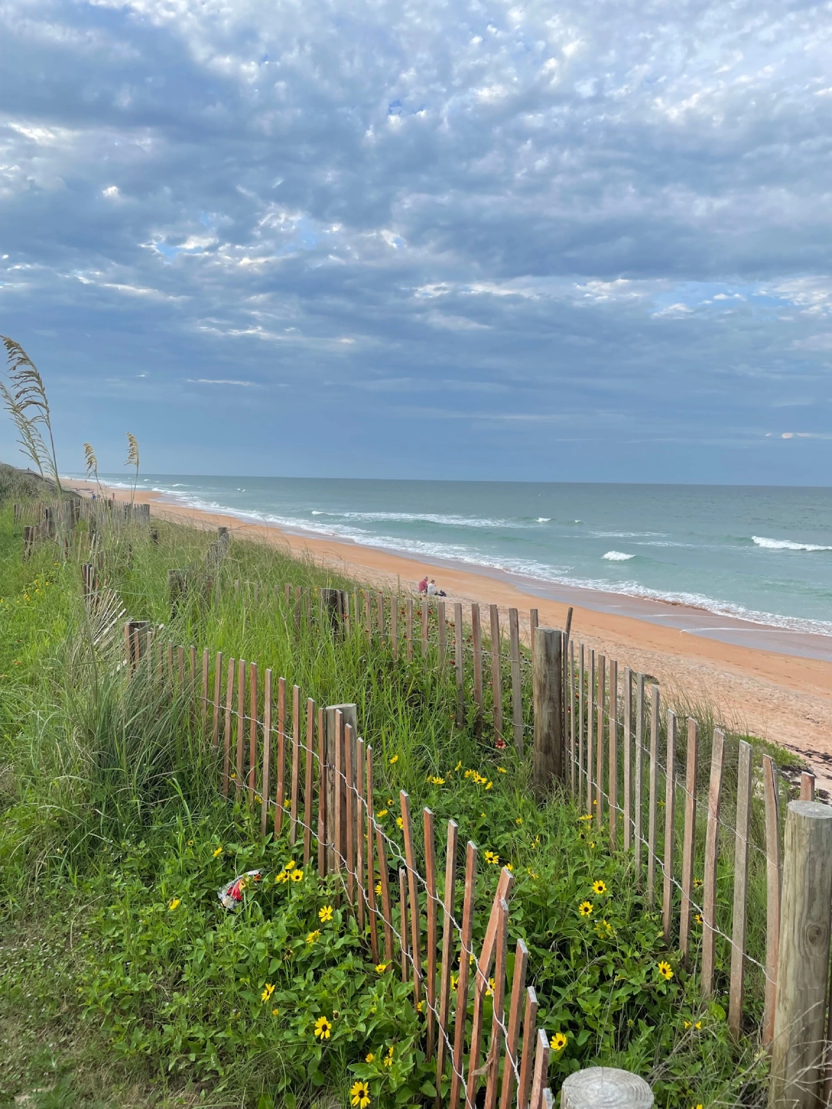 Seawall fence installation on the side of the beach